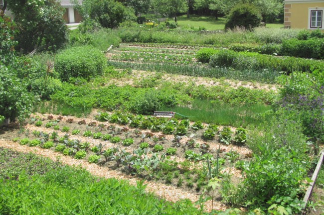 Örglwirt's Gemüsegarten