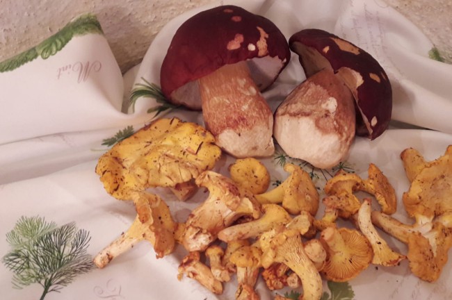 Dried porcini mushrooms and chanterelles