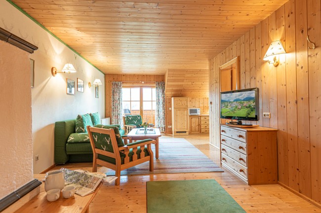 Living area in the apartment